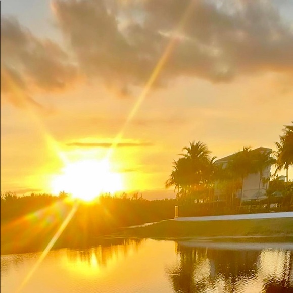 Meet your Posher, yva - Picture 1 of 1